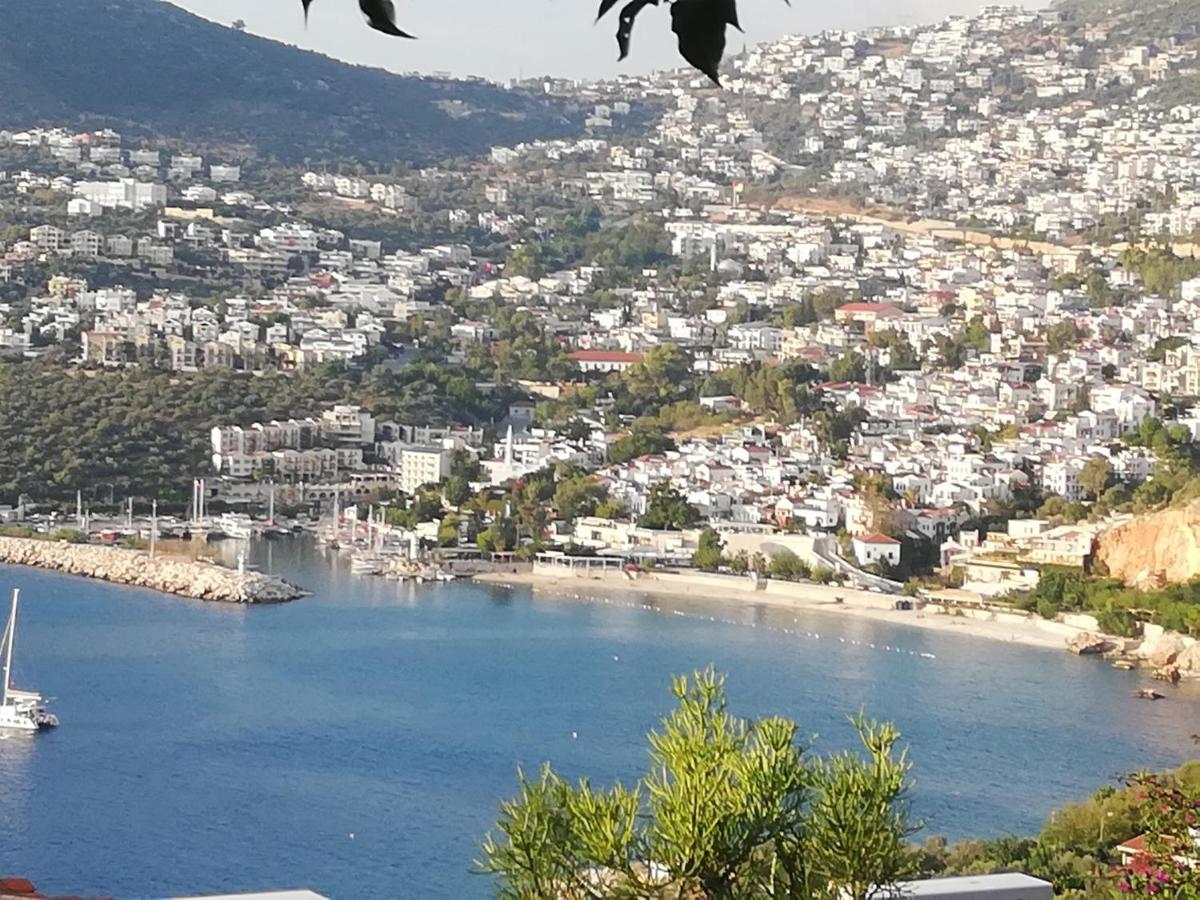 Sea View Bougainvillea 52 칼칸 외부 사진