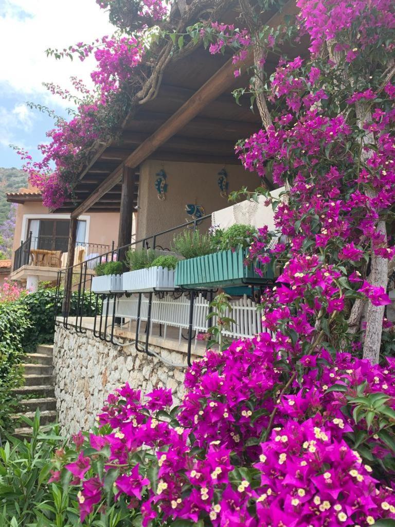 Sea View Bougainvillea 52 칼칸 외부 사진
